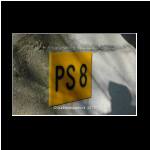 Shelter PS 8 a-03.JPG